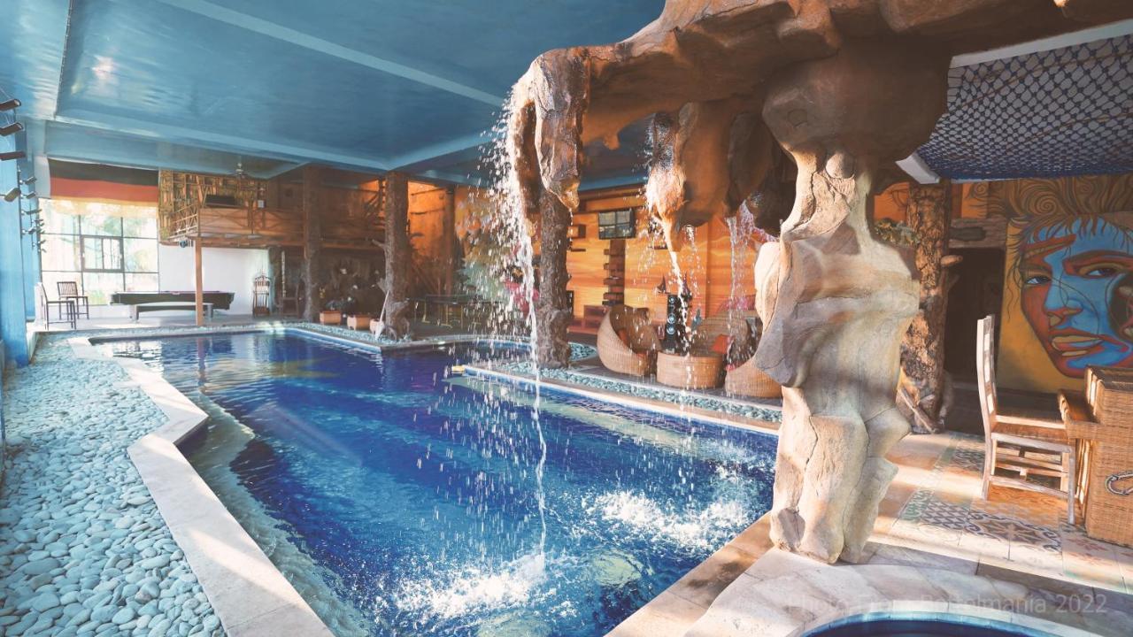 Bottelmania Otel Lovina Dış mekan fotoğraf